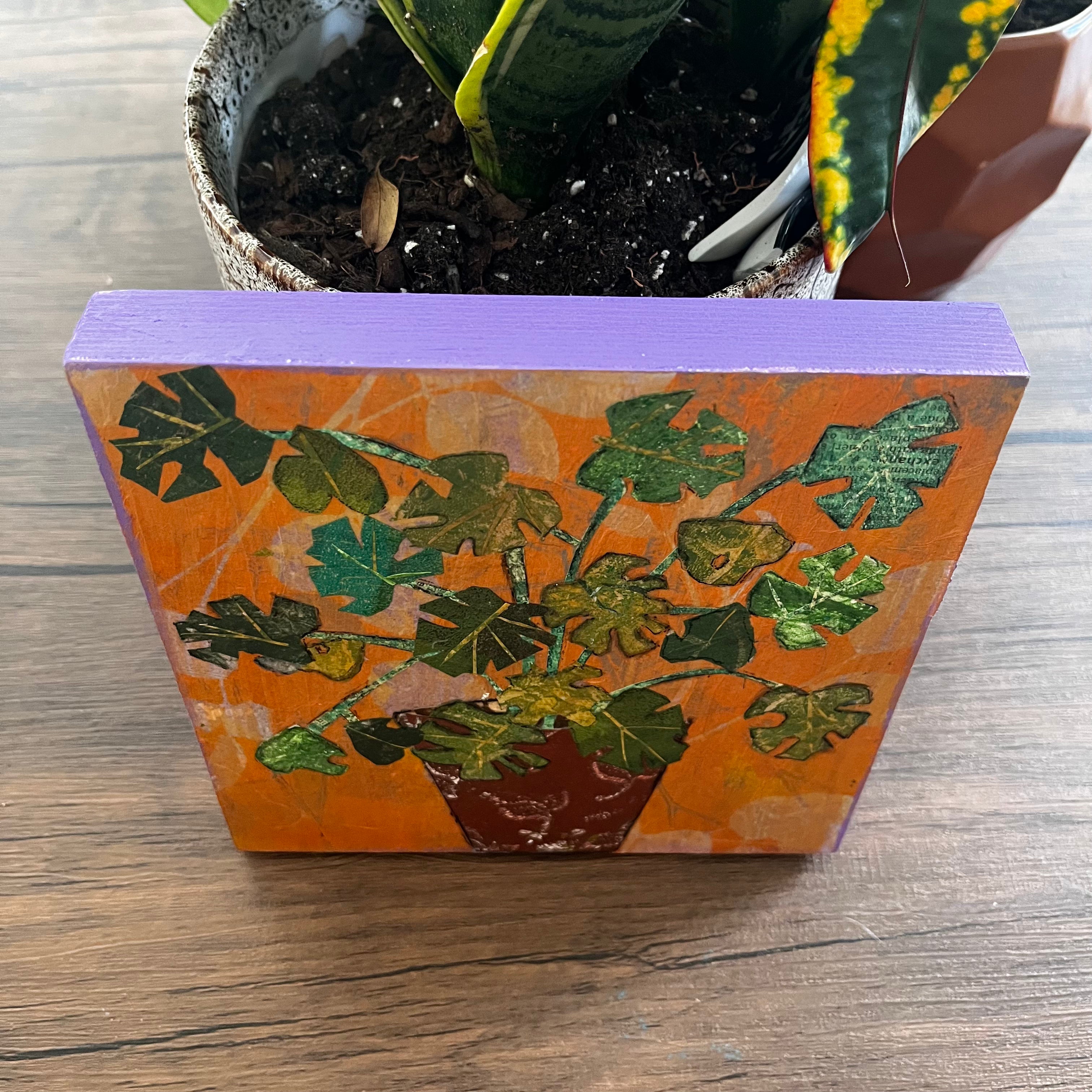 Monstera Plant in Pot Original Collage