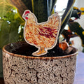 Chicken Sticker