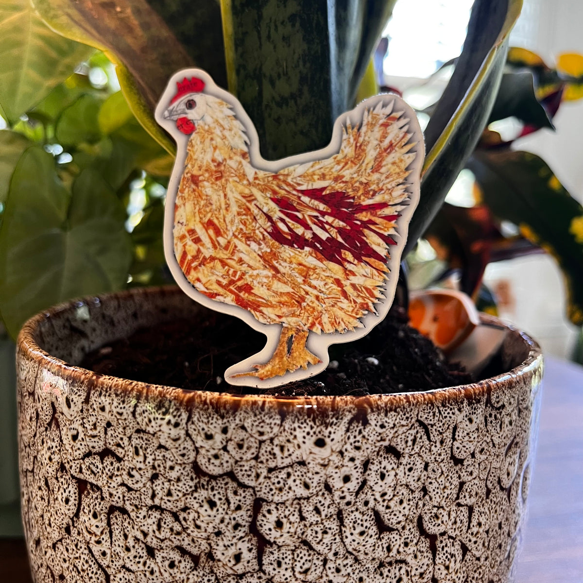 Chicken Sticker