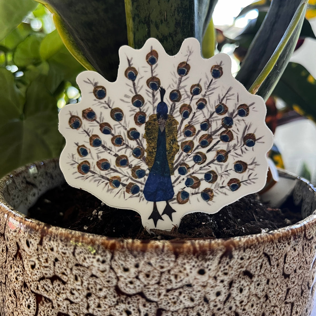 Peacock Sticker