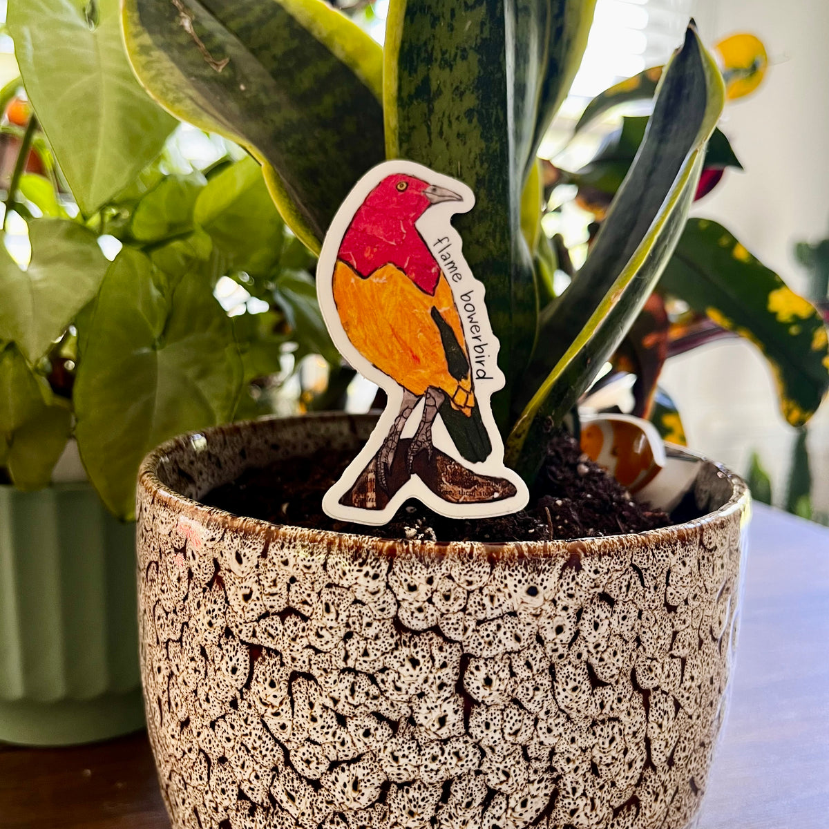 Bower Bird Sticker