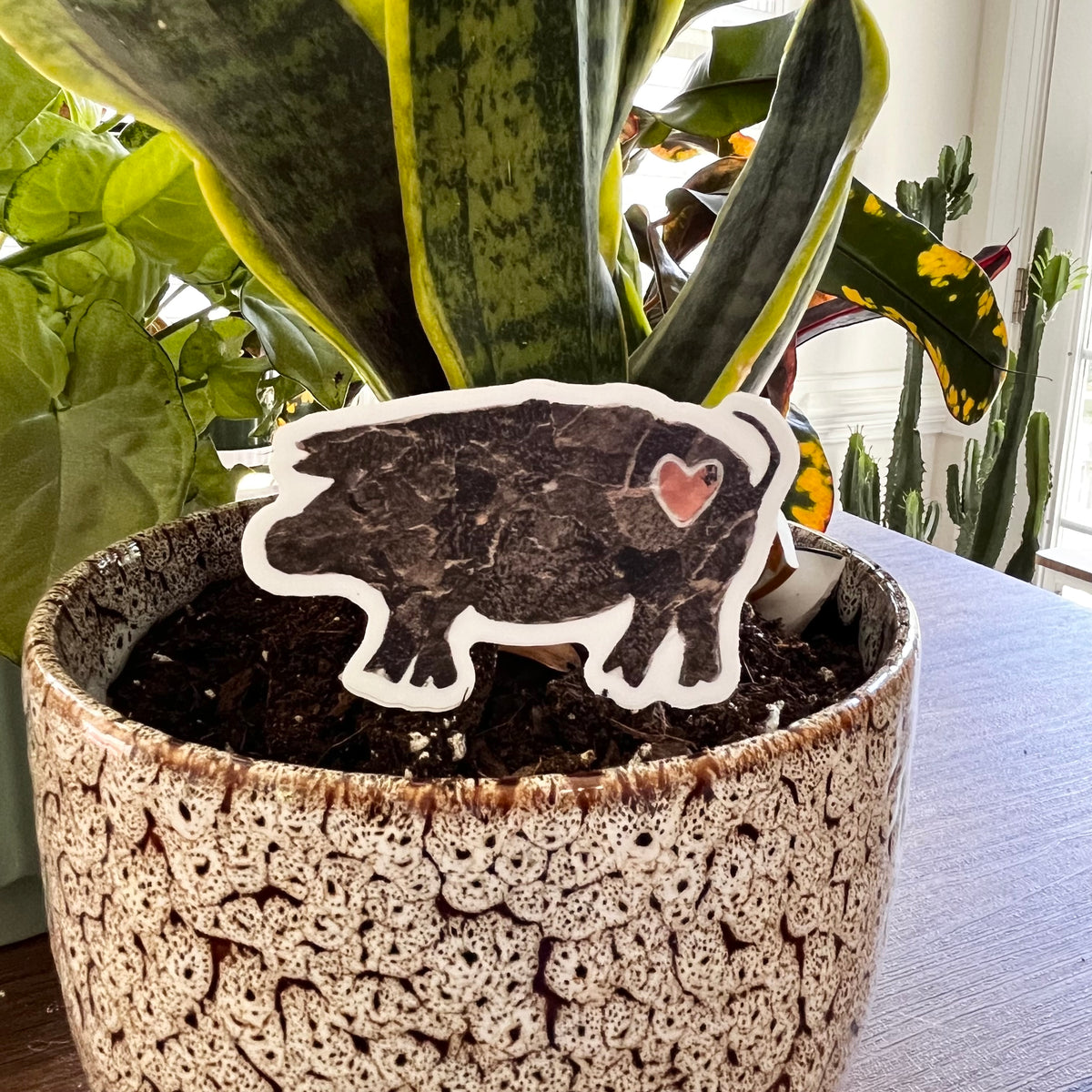 Pig Sticker