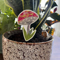 Mushroom Sticker