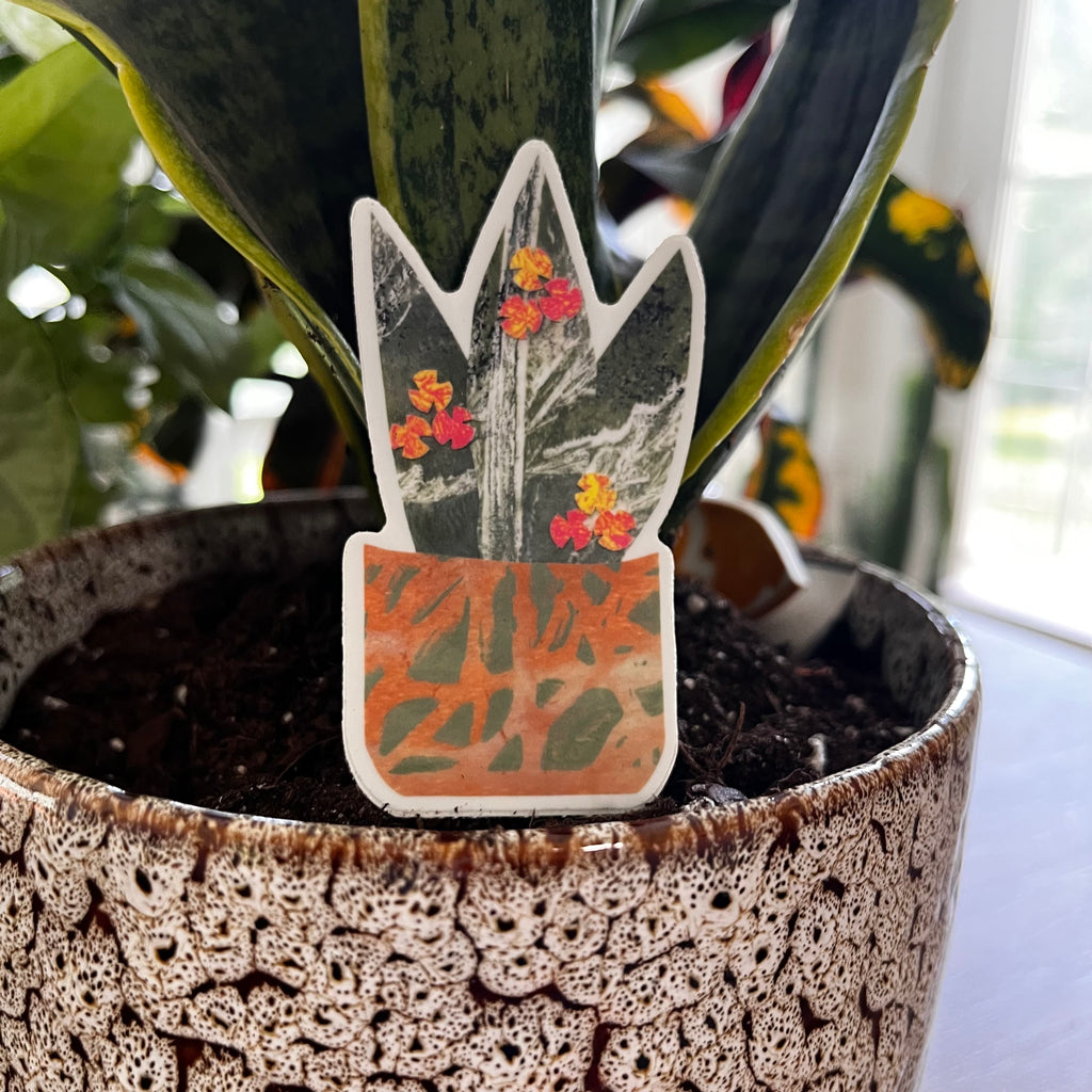 Succulent Plant with Flowers Sticker
