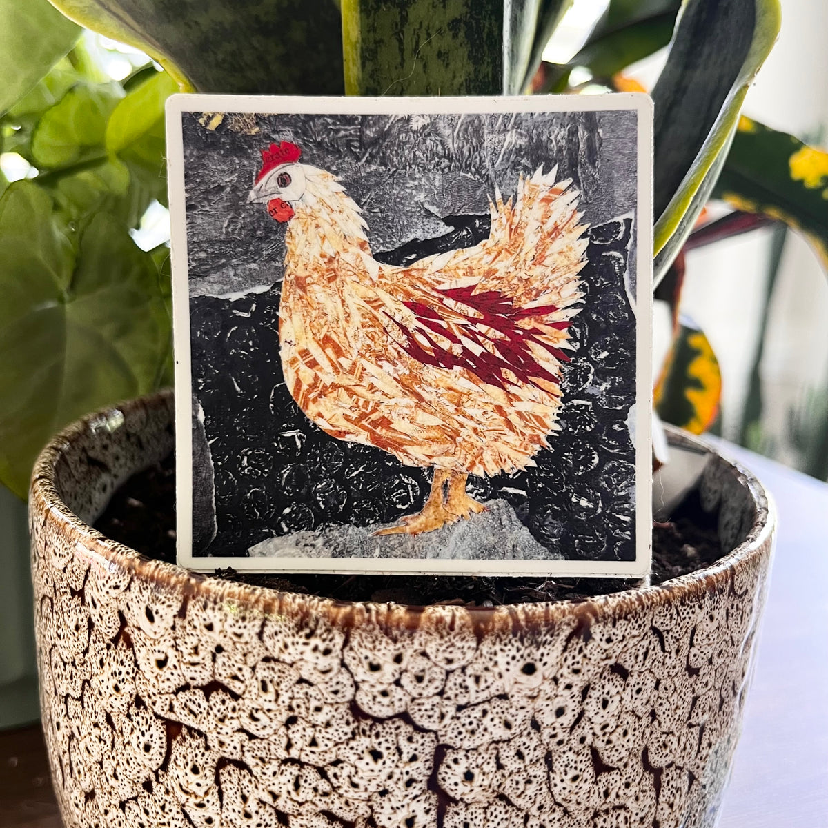 Chicken Sticker - Square