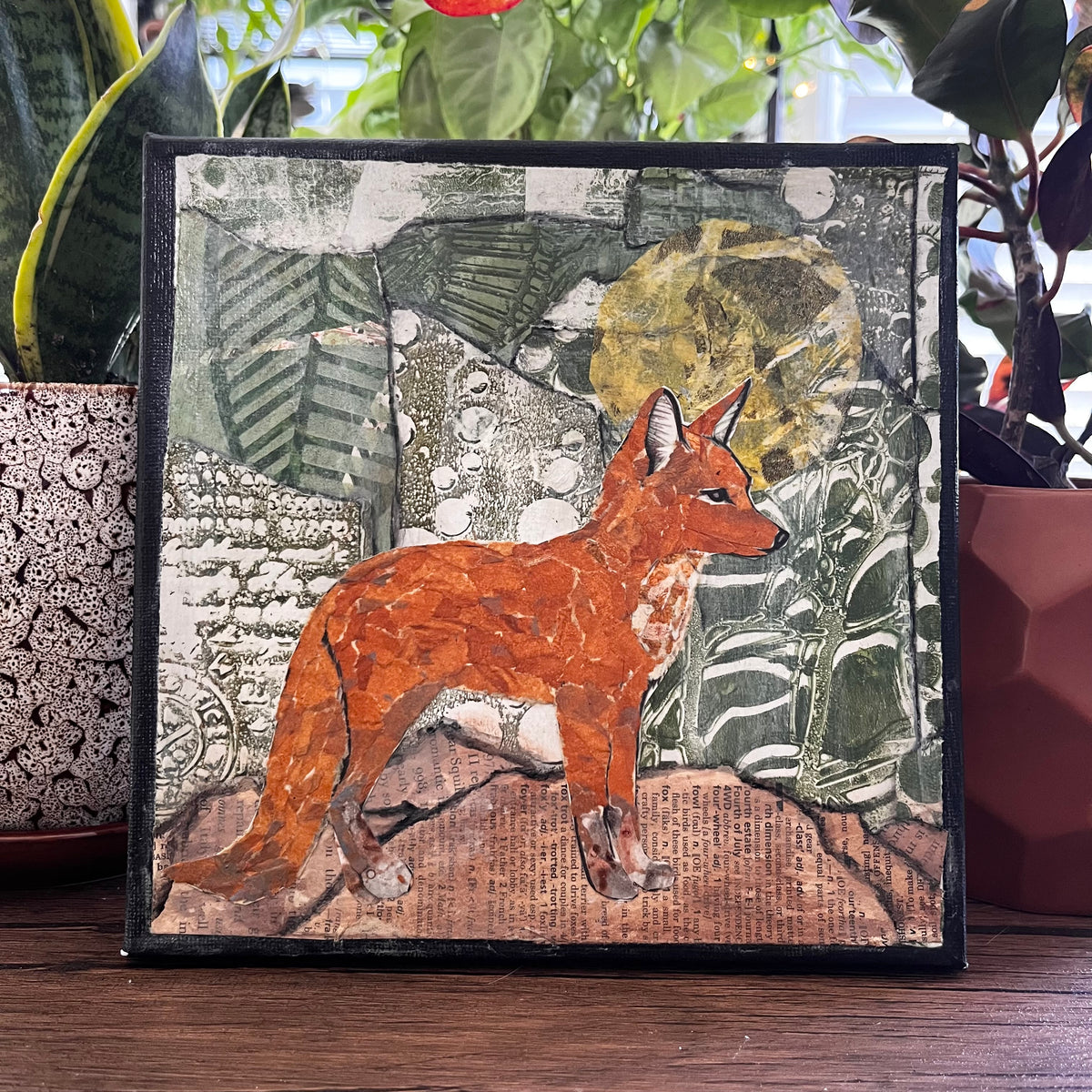 Fox Original Collge
