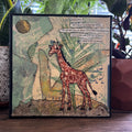 Giraffe Original Collage