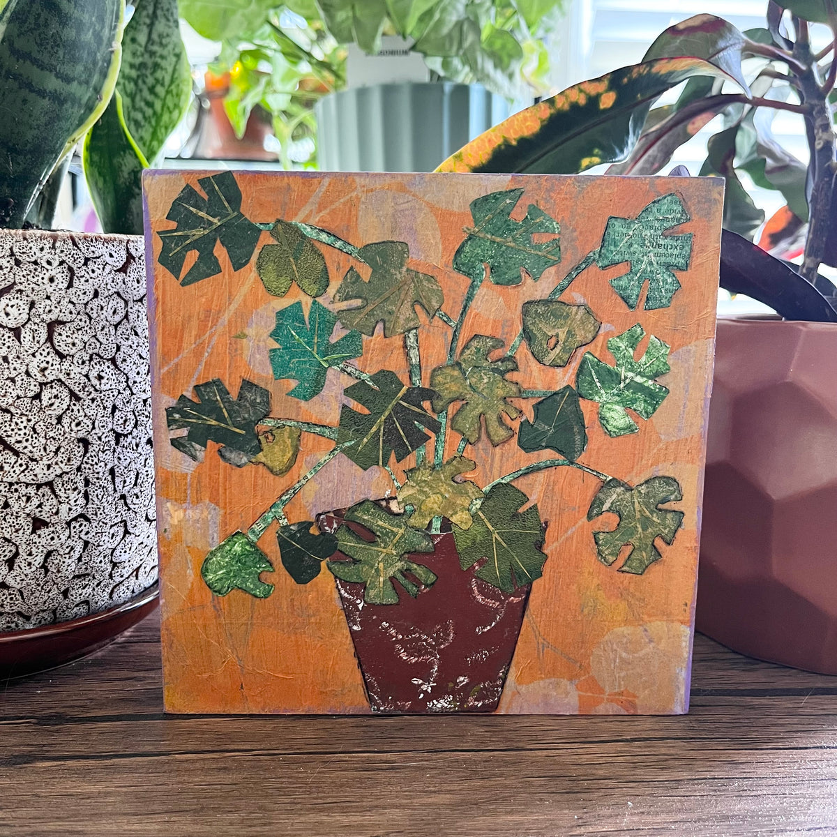 Monstera Plant in Pot Original Collage